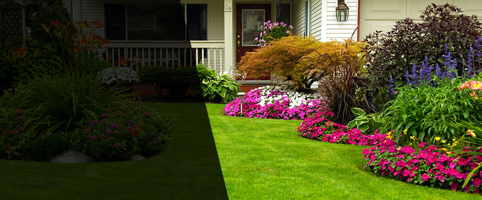 Webster City Landscapers