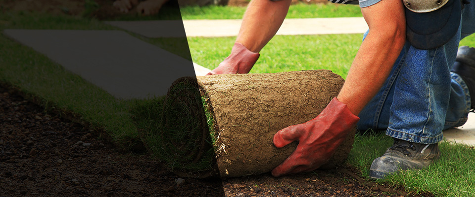 Webster City Landscapers